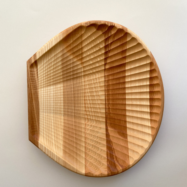 ракушка 308*270